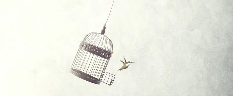 A bird flying free from an open birdcage